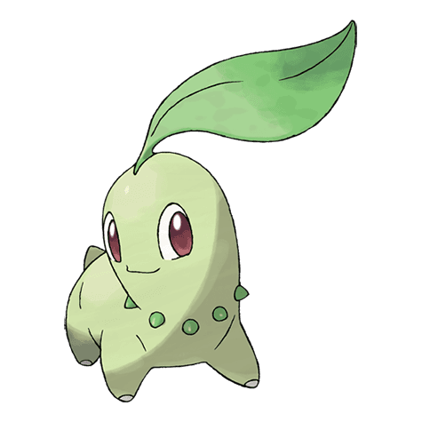 Chikorita